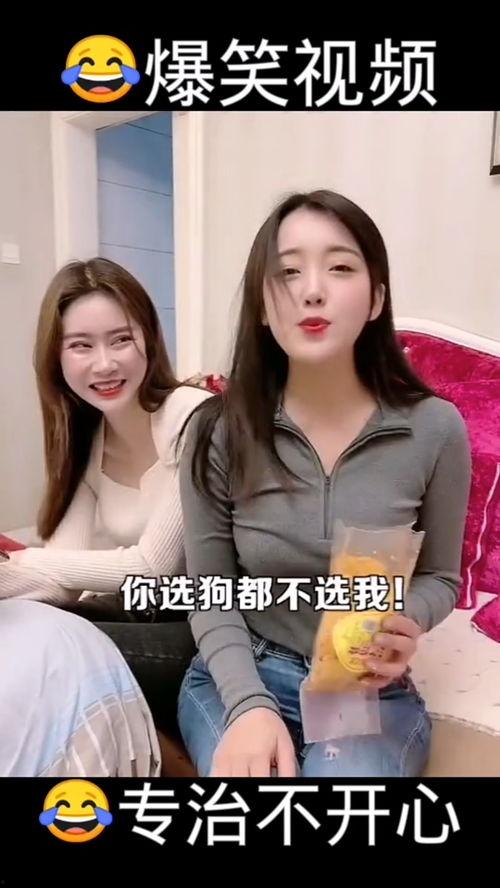 爆料哈哈的视频大全在线观看,海量搞笑瞬间，在线观看乐翻天  第1张