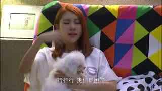 吾儿可教在线观看,揭秘育儿智慧与成长之路 第3张 吾儿可教在线观看,揭秘育儿智慧与成长之路 第3张